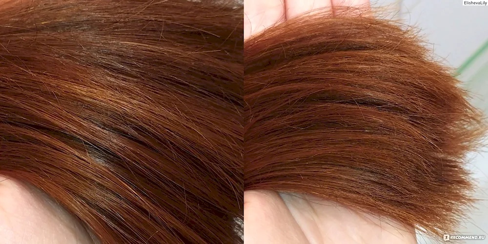 Schwarzkopf Luminance shade balm Concept copper