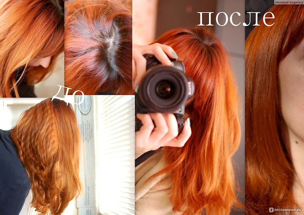 Tinted shampoo red shade