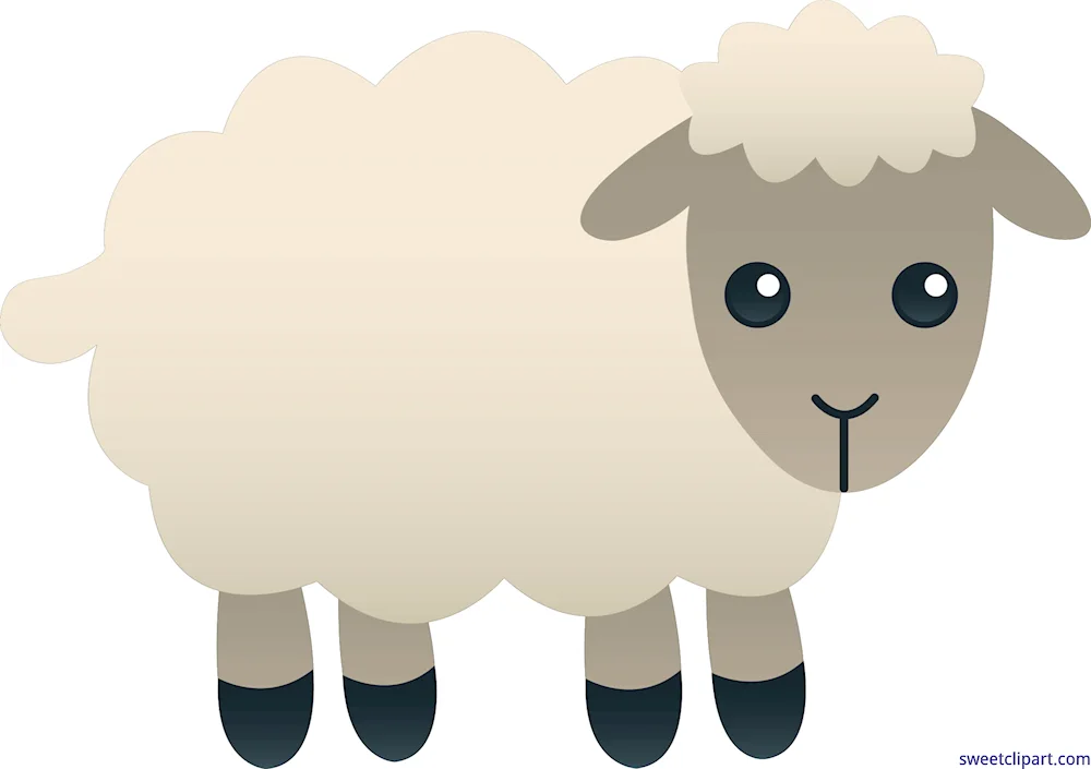 Sheep cartoon