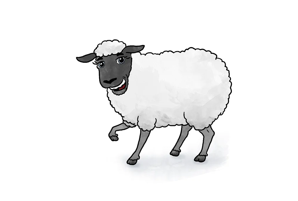 Sheep cartoon