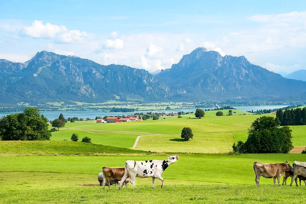 Over- Rhône-Alpes