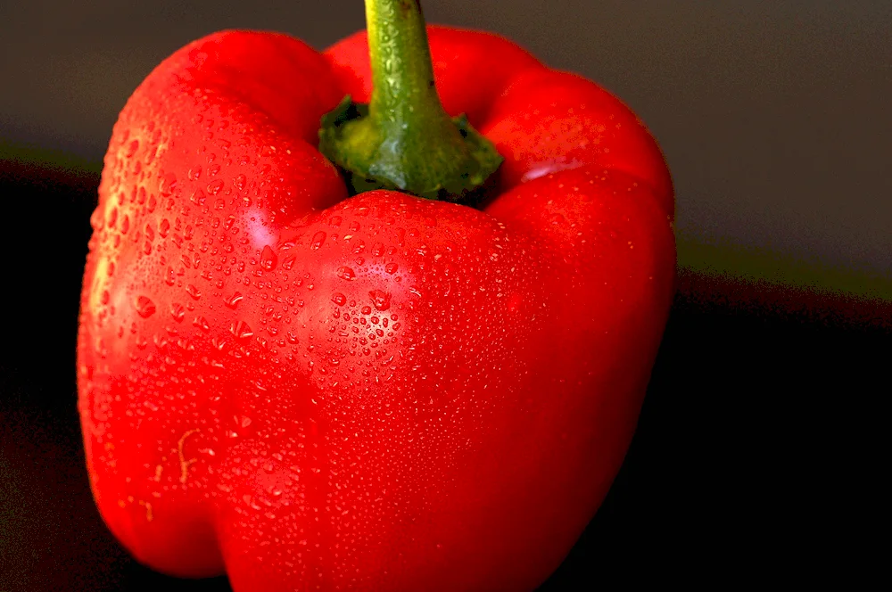 Pepper