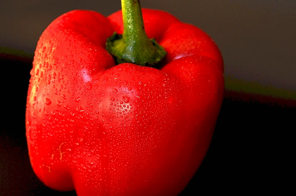 Tomato