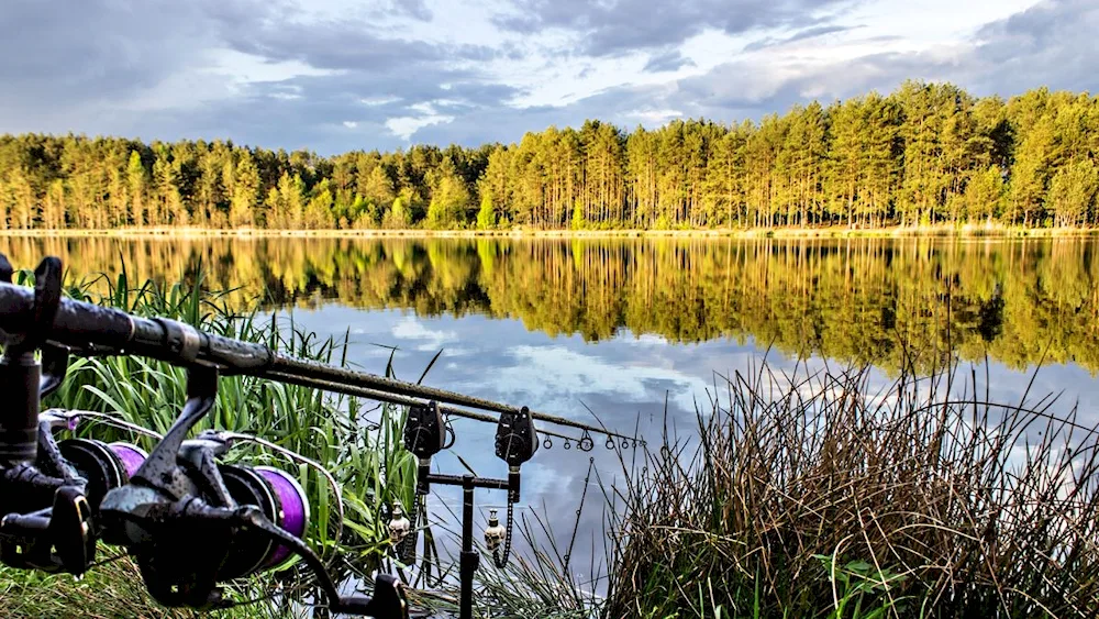 Beautiful nature fishing