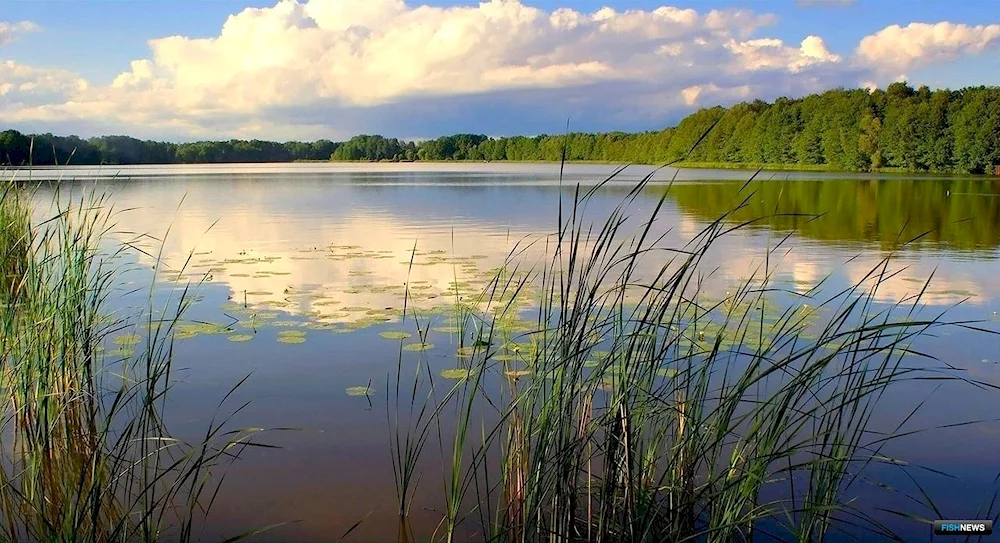 Lake Kyulkhiri Vurnarsky district