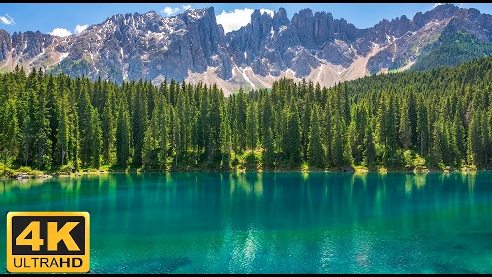 Forest Lakes