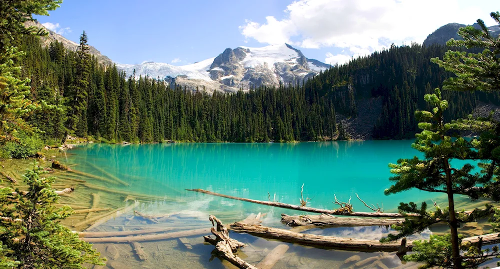 Forest Lakes