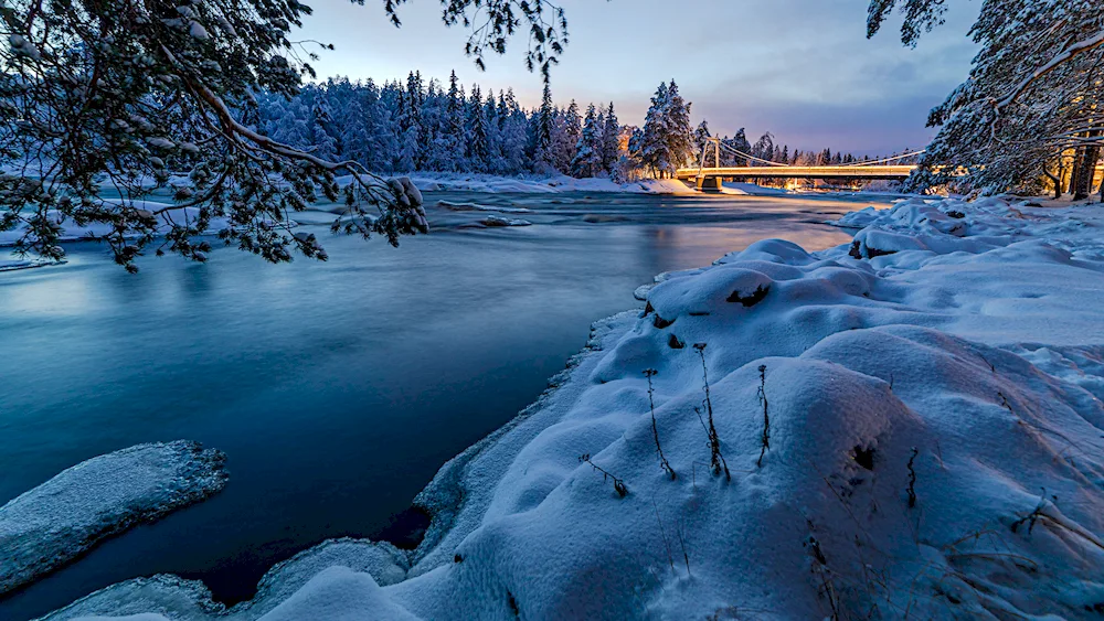 Beautiful winter