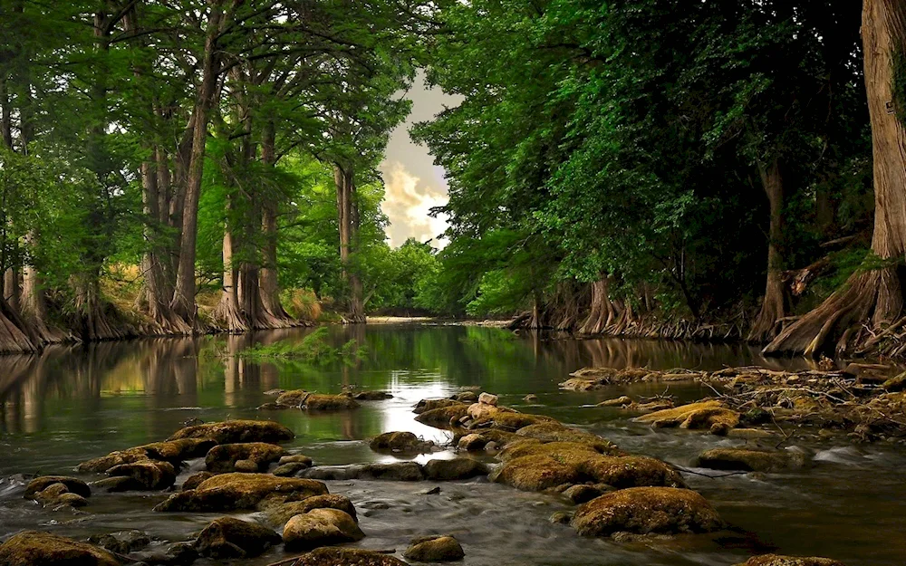 Beautiful nature on desktop