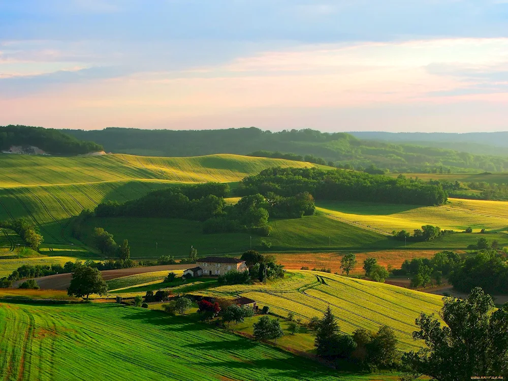 River in the field