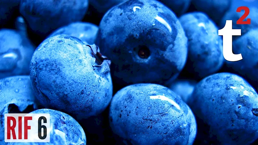 Palitra blueberries