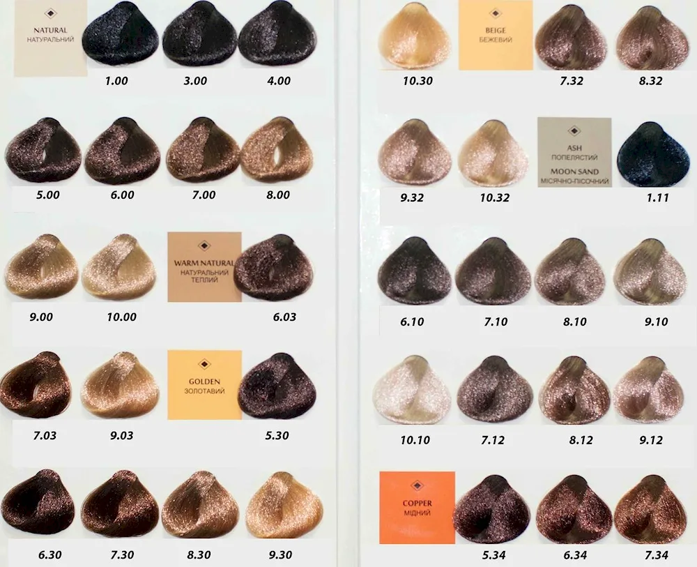 Brelil Colorianne Prestige dye palette