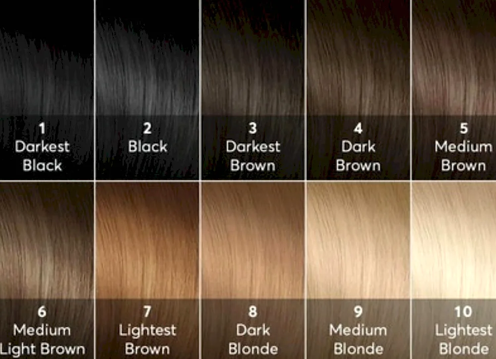 Palette of natural hair shades from 1 to 10