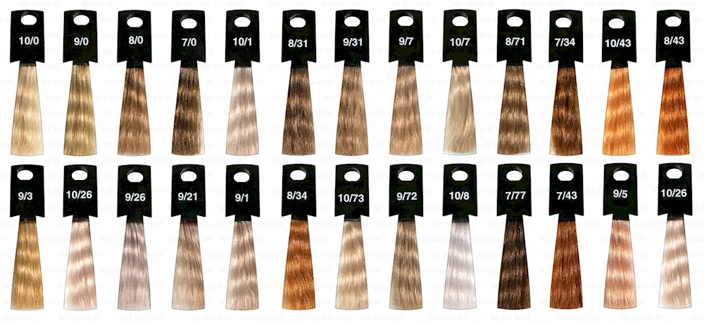 Palette londa professional hair dye 6. 0
