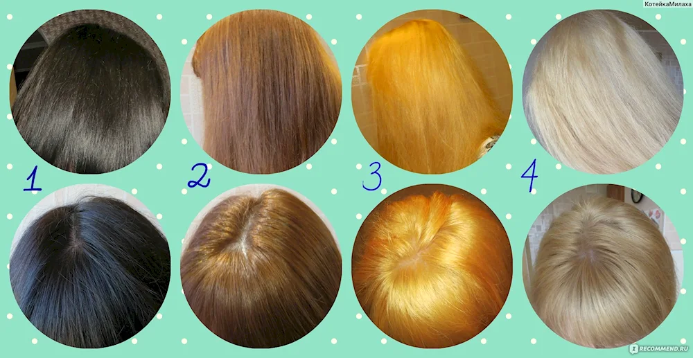 Palette of colours of hair dye after lightening