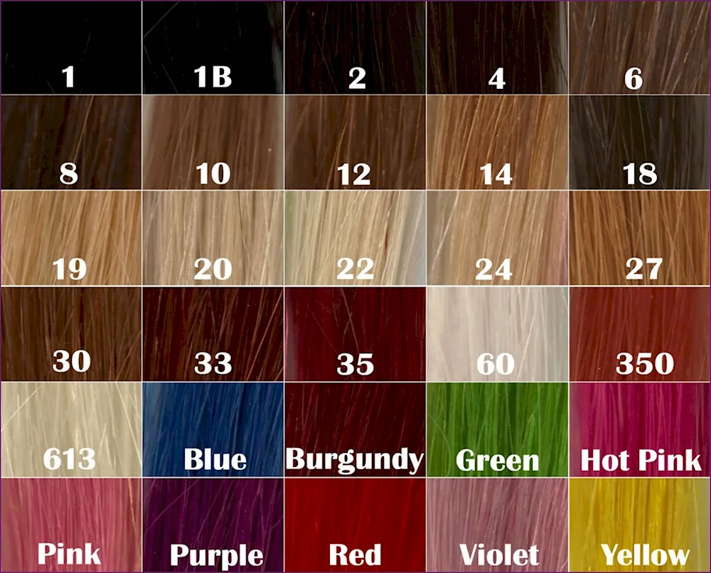 Hair colour palette