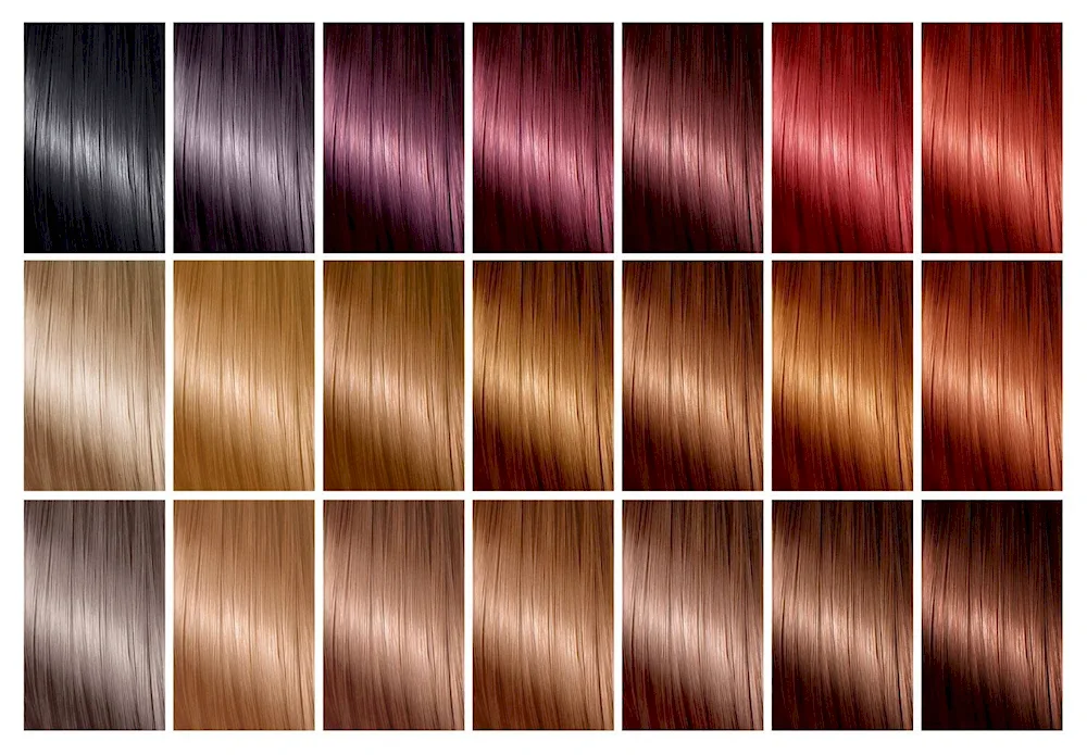Palette of hair
