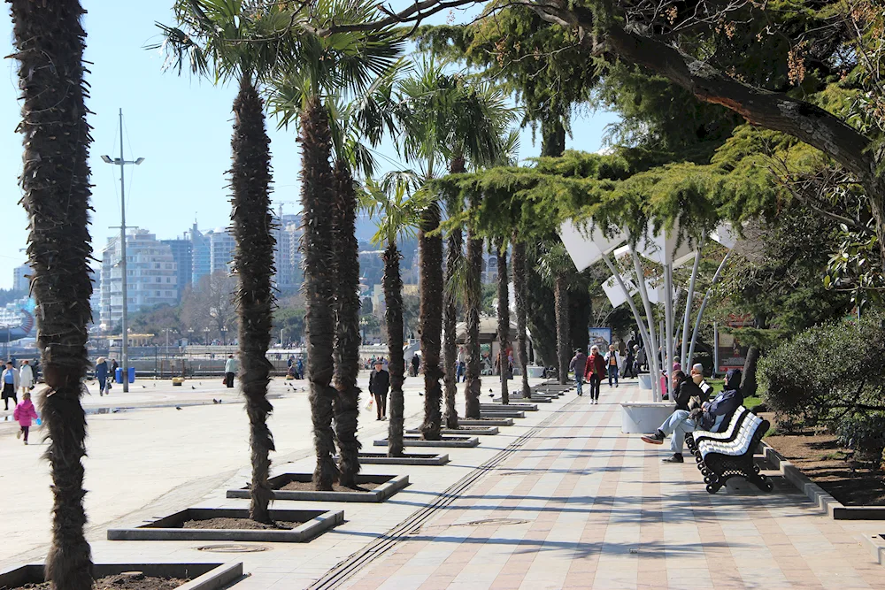 Menton Nice
