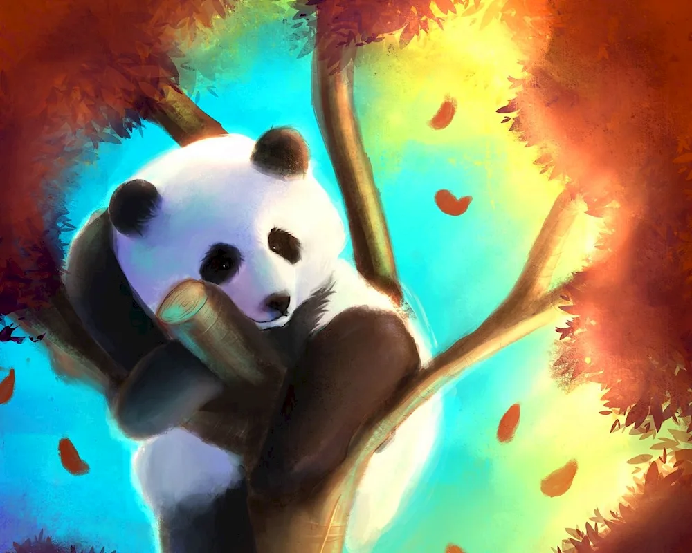 Panda wallpapers