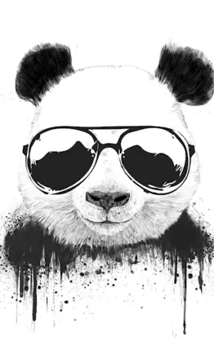 Panda drawing