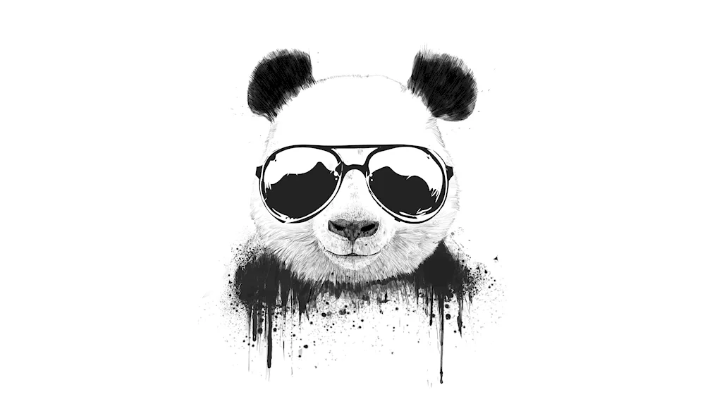 Panda drawing