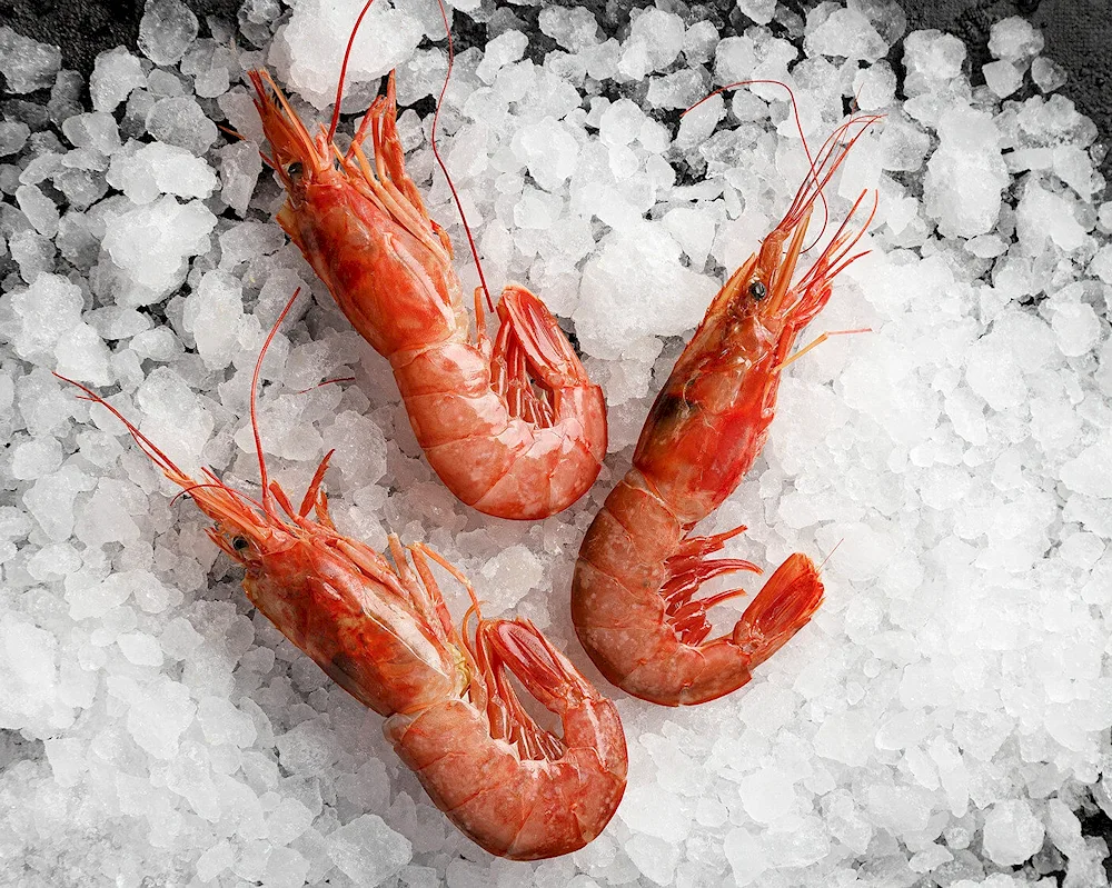 Langostins shrimp l2