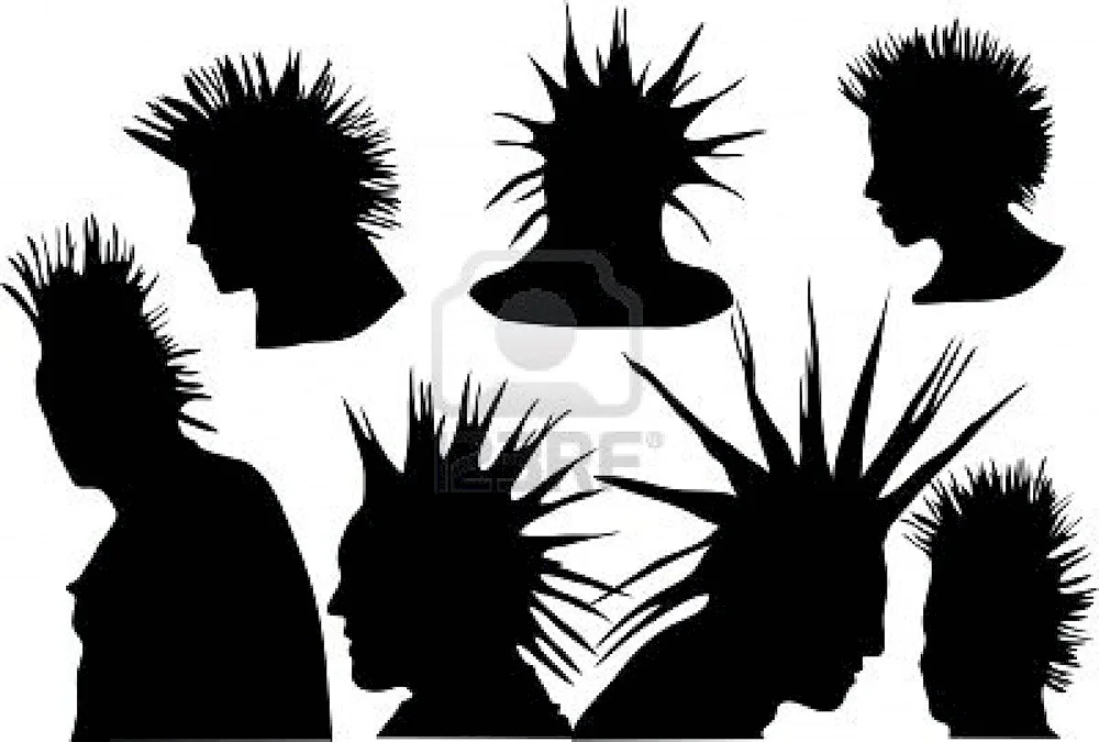 Spider hairstyle