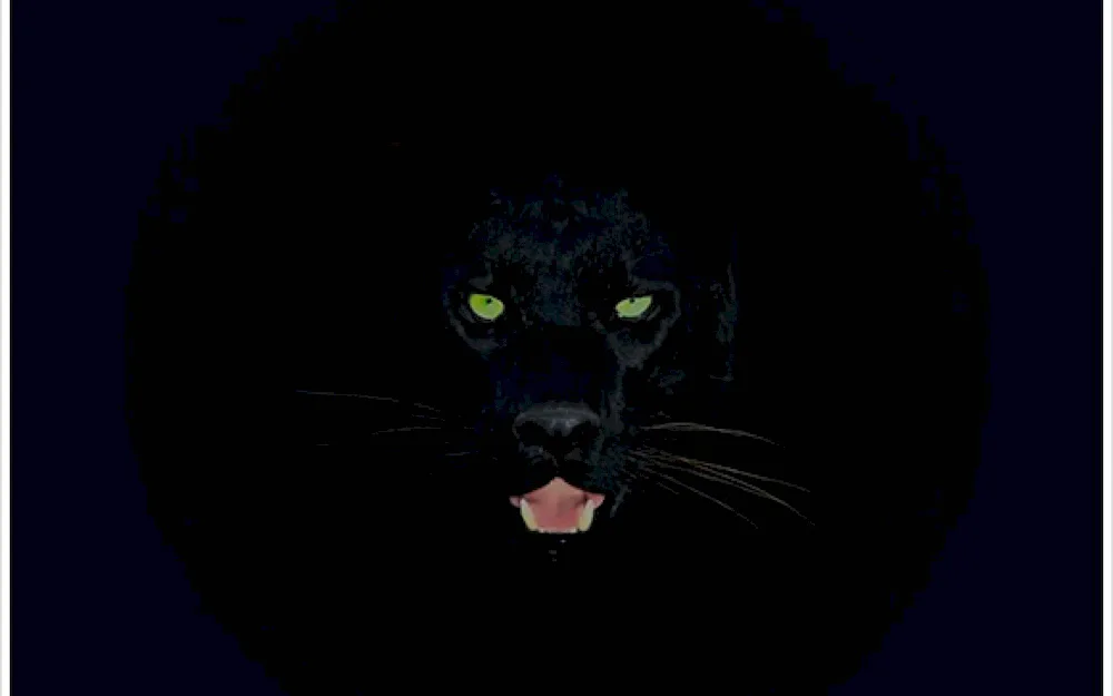 Panther is a black leopard