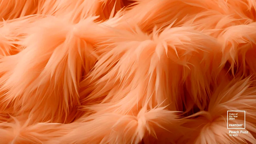 Pantone 13-1023 Peach Fuzz