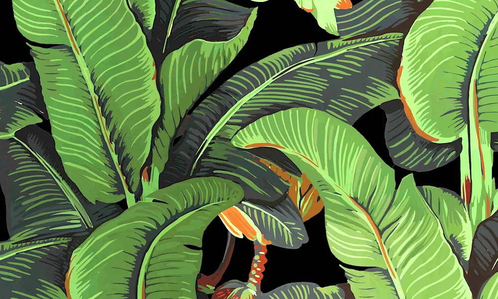 Palm fern Monstera