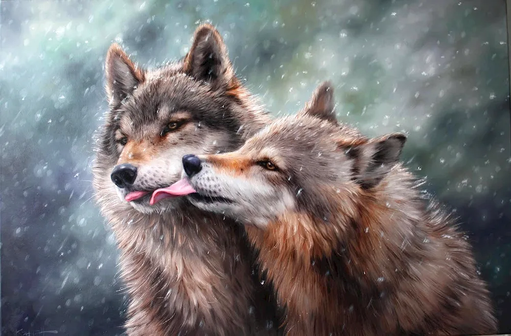 Wolf and wolf pair