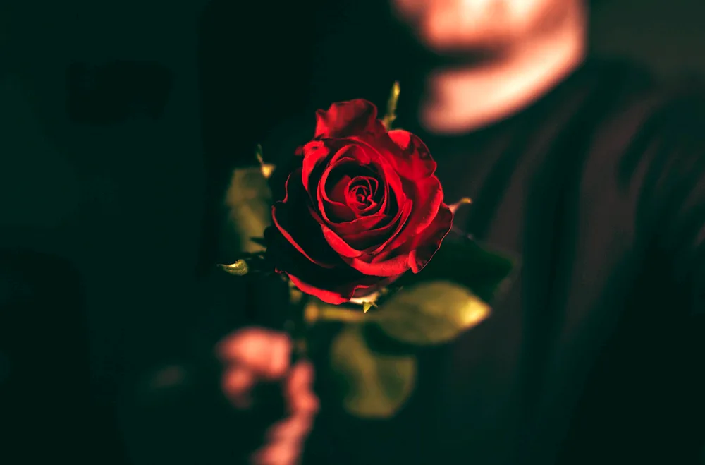 Guy with a rose