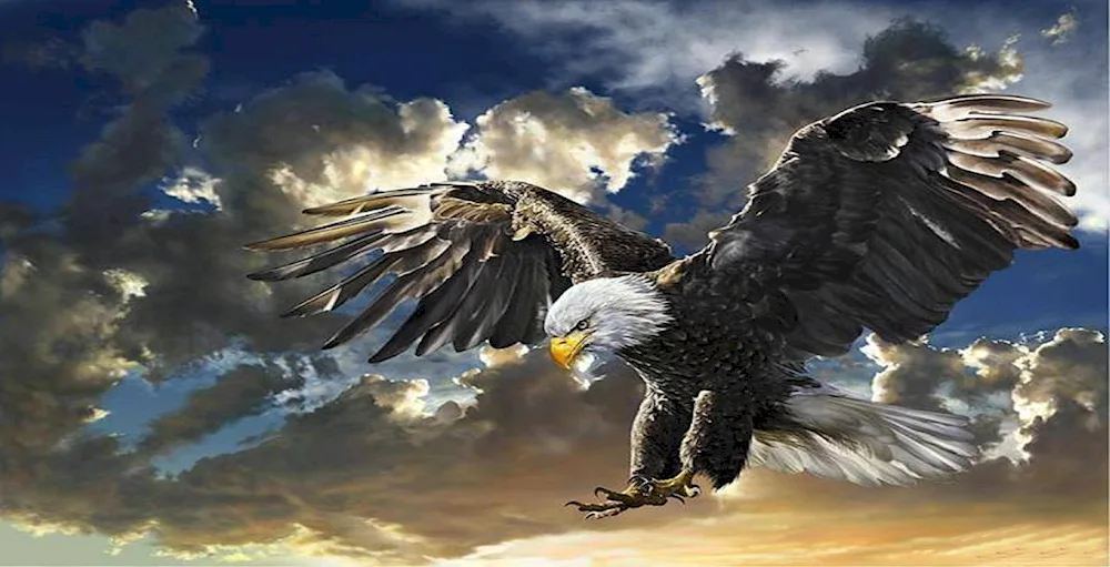 Sailing Eagle
