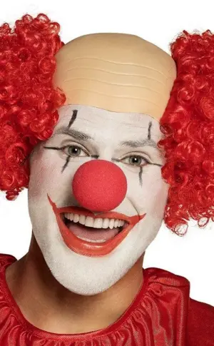 Clown wig