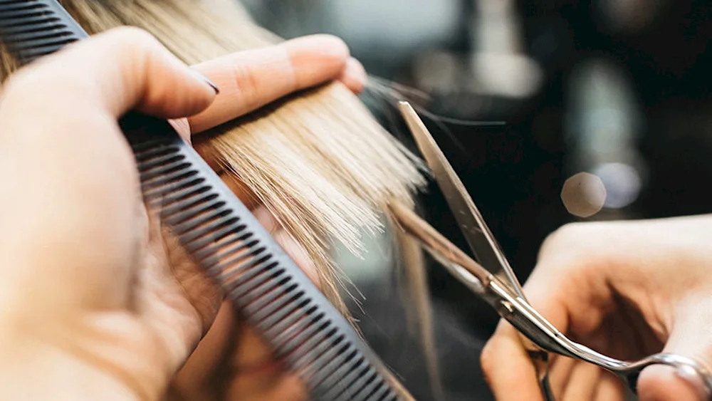 Barber Haircutting