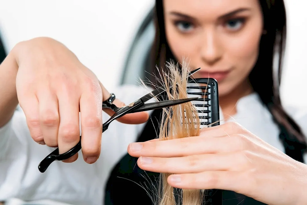 General hairdresser