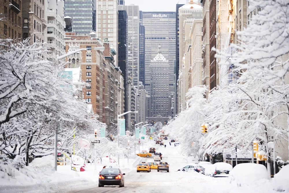 Park Avenue winter New York