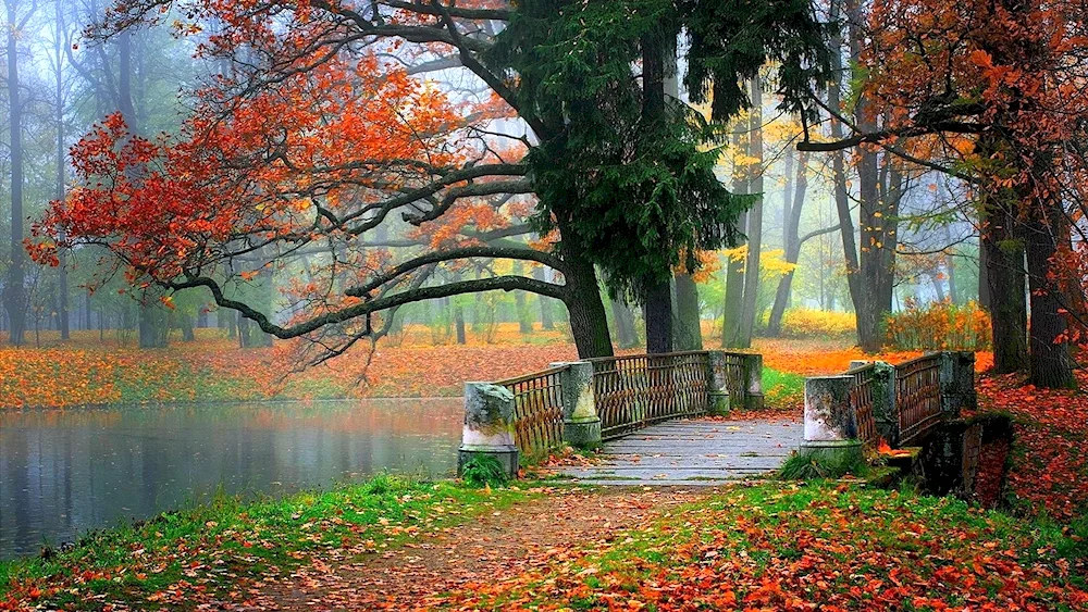 Autumn Landscape