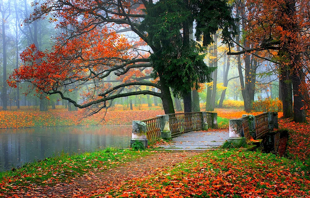 Autumn landscape