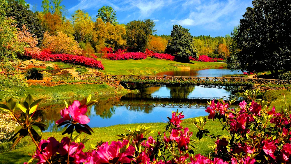 Park Lake Gardens