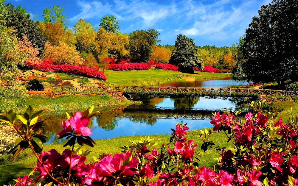 Spring Topiary Garden