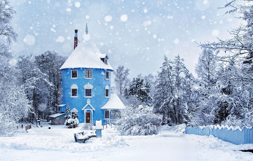 Winter house