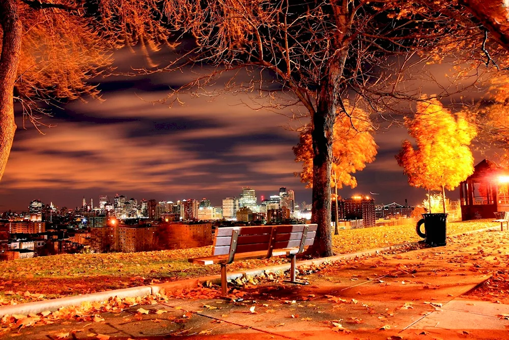 Autumn night