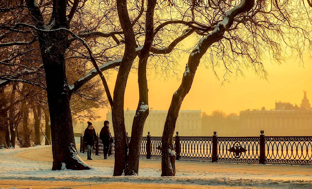 Polyustrovo Park St. Petersburg in winter