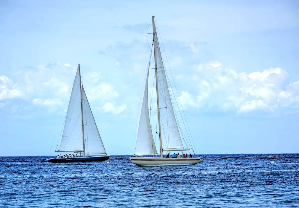 Yacht regatta