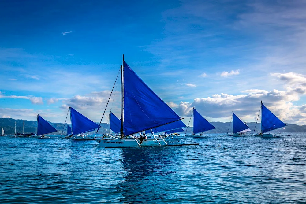 Yacht sailing regatta