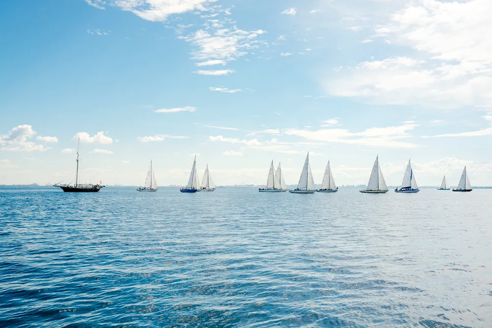 Sailing regatta Gulf of Finland