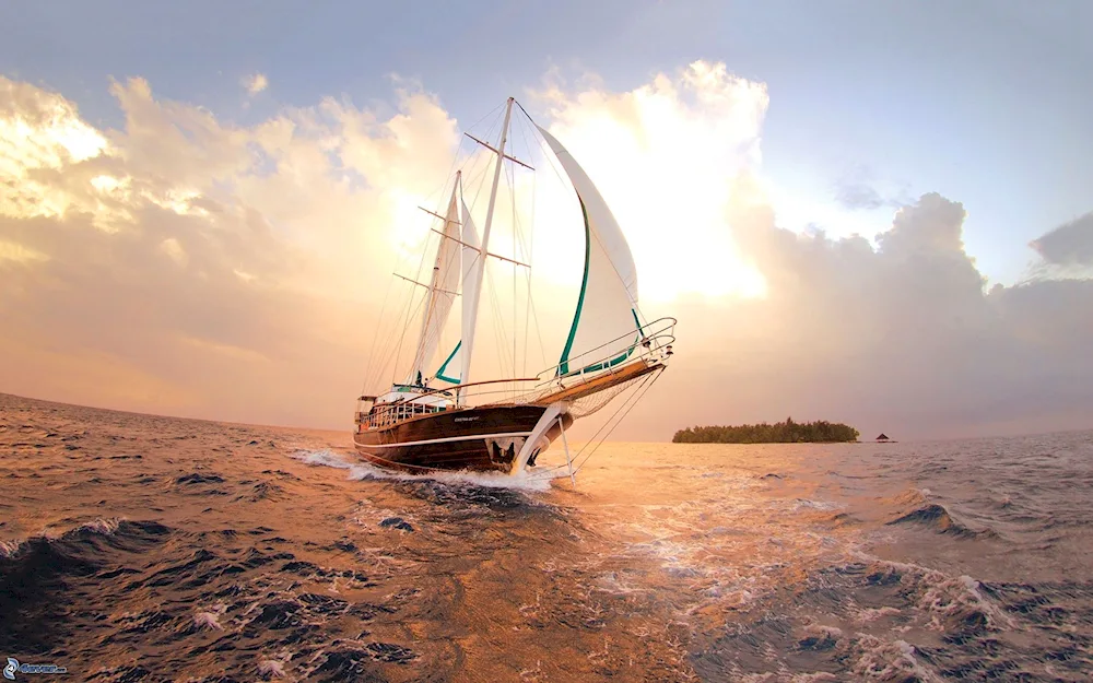 Sailing yachts