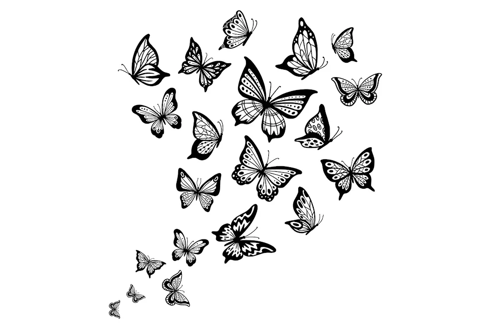 Butterfly in pencil