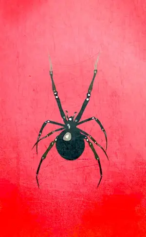 Red Spider